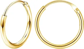 Staligue G23 Titanium Hoop Earrings for Women Men Hypoallergenic Endless Hoop Earrings Cartilage Sleeper Lightweight Small Hoop Earrings 6MM 8MM 10MM 12MM 14MM 18MM 20MM